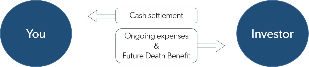 What is a Life Settlement
